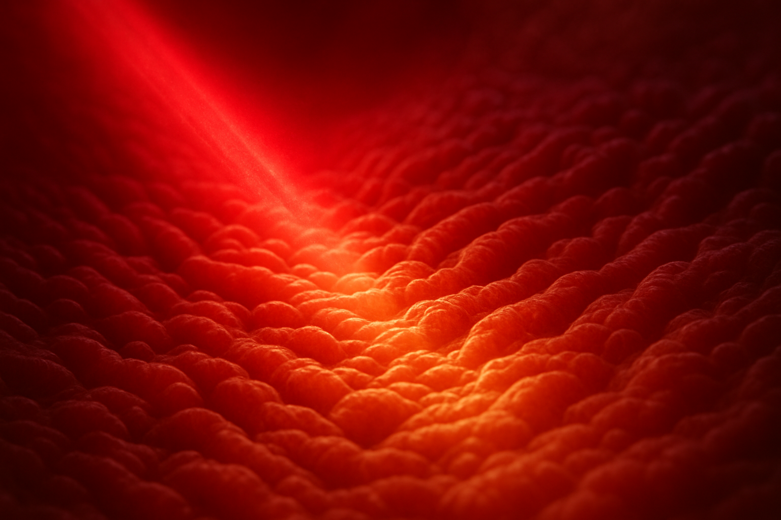 Fotobiomodulace střevní mikrobioty: Nadějná strategie v léčbě a prevenci neurozánětů