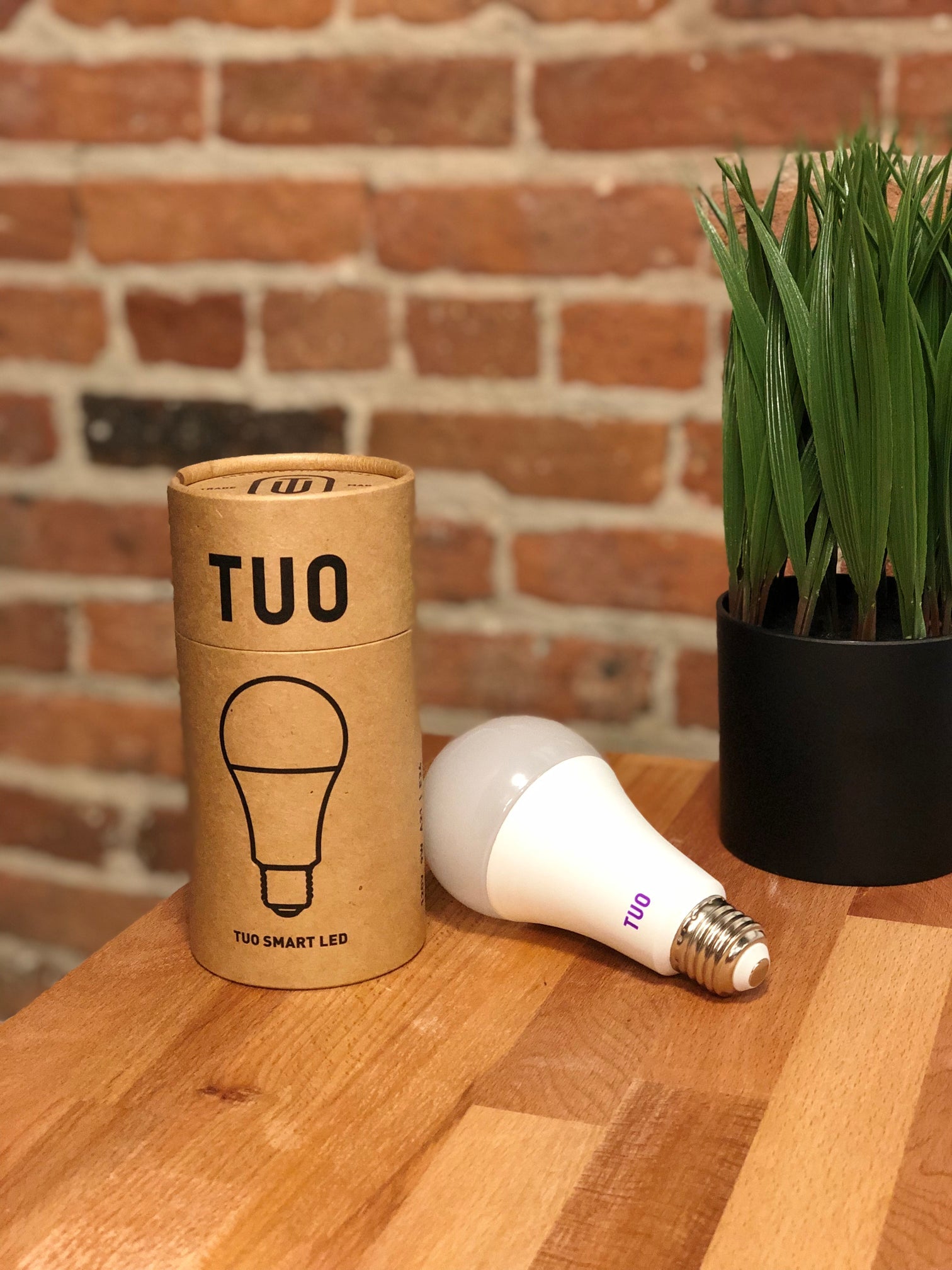 Circadian smart bulb