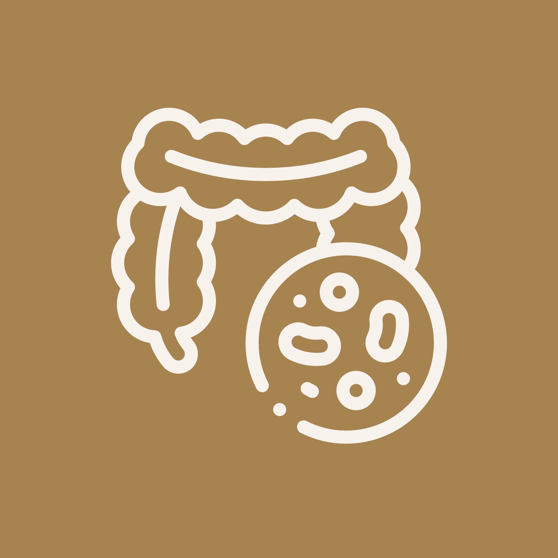 Test for complete gut microbiome analysis