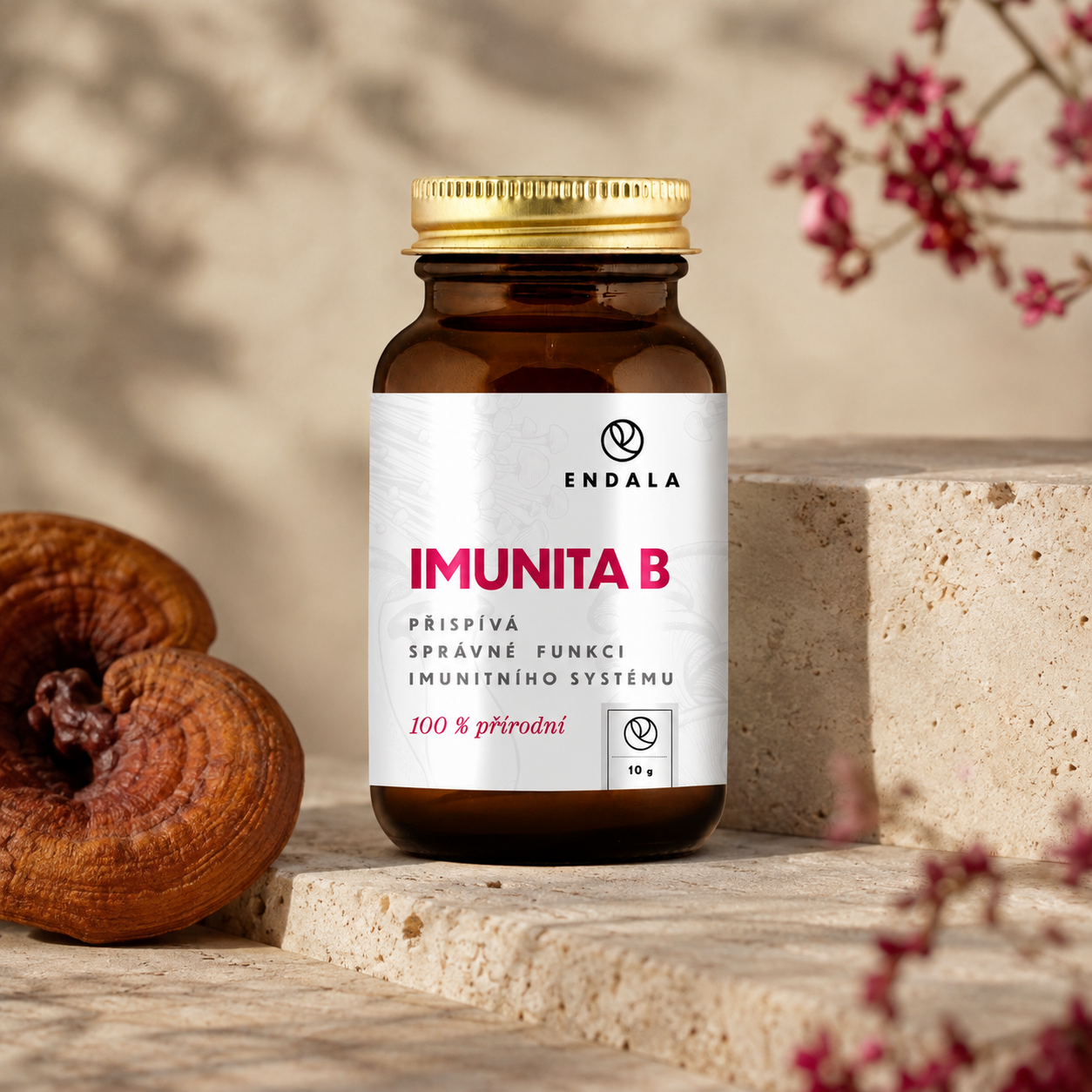 Imunita B