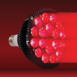 redZEN