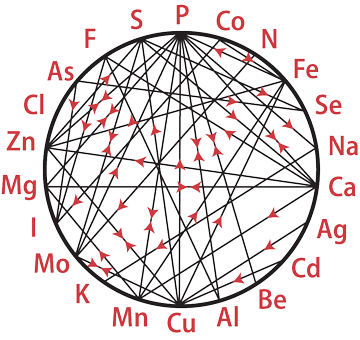 Test for minerals and heavy metals